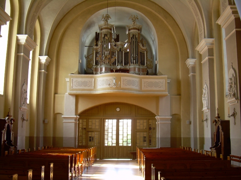 Interior and Organ