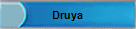 Druya