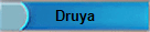 Druya