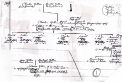 Gillis Immigration Documents