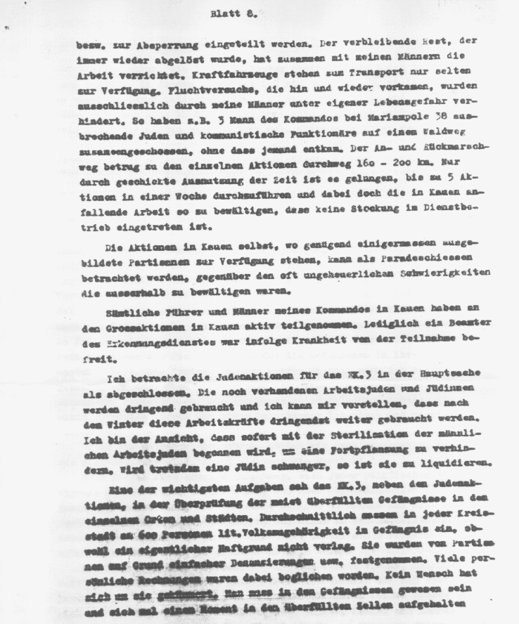 Jäger Report of Einsatzcommando 3 - Page 8