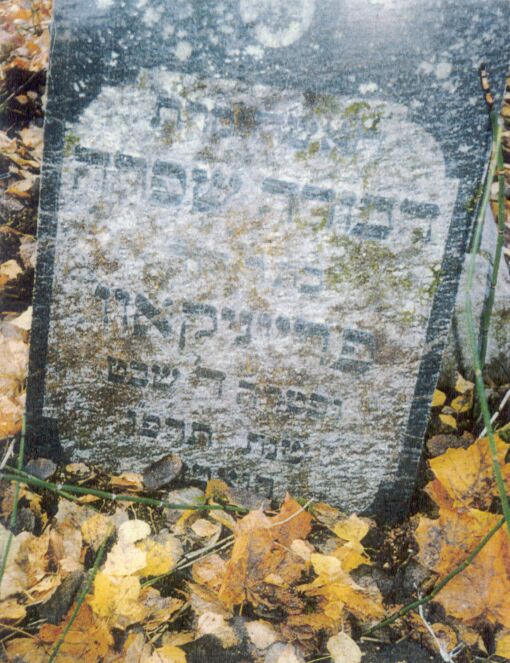 Tombstone in Jewish Cemetery
