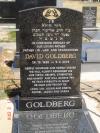 David Goldberg - gravestone