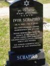 Ivor Schapiro - gravestone