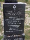 David Isadore Goldberg - grave