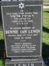 Bennie Lewin - grave