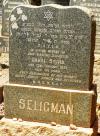 Carol Seligman - gravestone