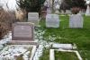 Fleishman graves - Beth Hamedrosh Hagadol Cemetery