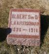 Albert Fleischman-grave