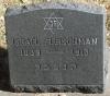 Israel Fleischman-grave