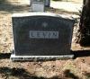 Louis & Dora Levin - gravestone
