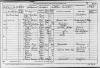 1881 UK census for Sunderland